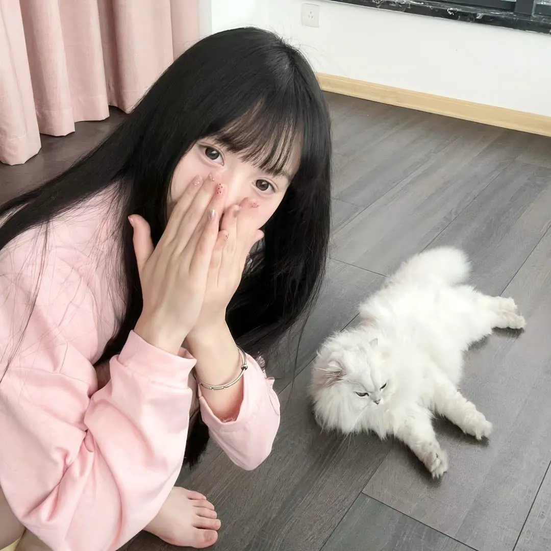 诉讼